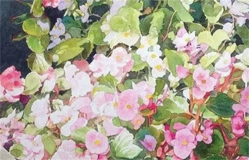 2029年农历四月初六动土好吗 是动土好日子吗