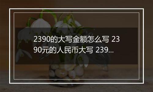 2390的大写金额怎么写 2390元的人民币大写 2390元的数字大写