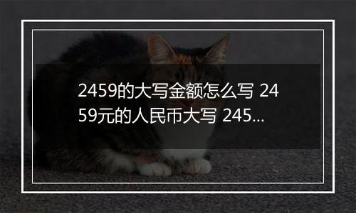 2459的大写金额怎么写 2459元的人民币大写 2459元的数字大写