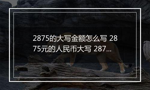 2875的大写金额怎么写 2875元的人民币大写 2875元的数字大写