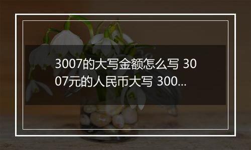 3007的大写金额怎么写 3007元的人民币大写 3007元的数字大写