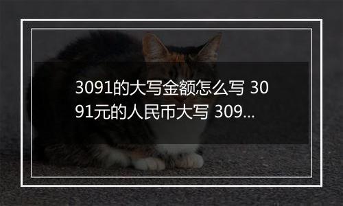 3091的大写金额怎么写 3091元的人民币大写 3091元的数字大写