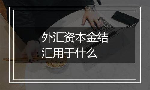 外汇资本金结汇用于什么