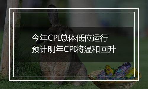 今年CPI总体低位运行 预计明年CPI将温和回升