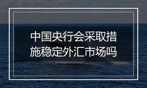 中国央行会采取措施稳定外汇市场吗