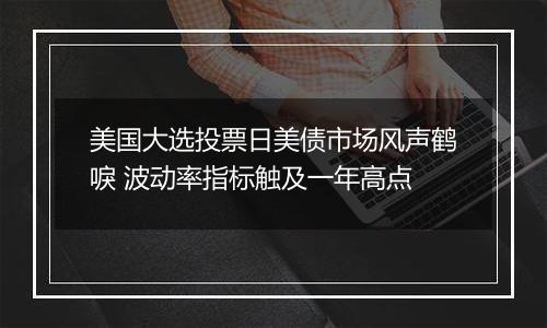 美国大选投票日美债市场风声鹤唳 波动率指标触及一年高点