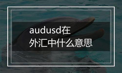 audusd在外汇中什么意思