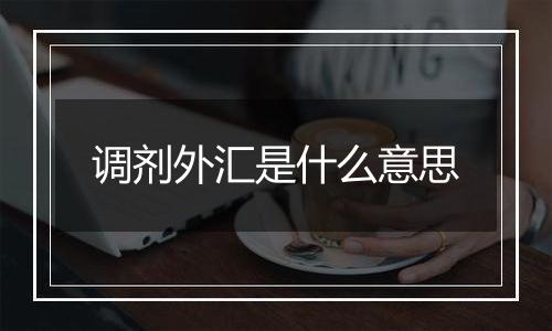 调剂外汇是什么意思