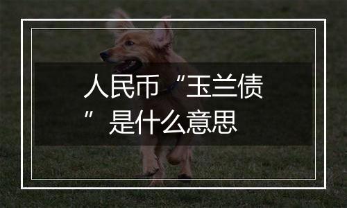 人民币“玉兰债”是什么意思