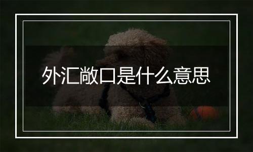 外汇敞口是什么意思