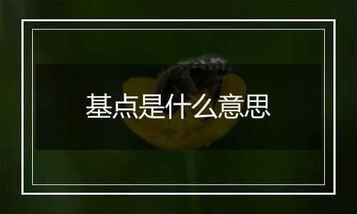 基点是什么意思