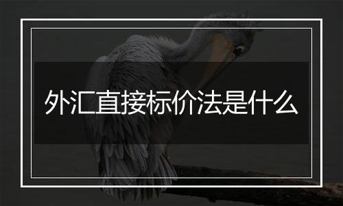 外汇直接标价法是什么