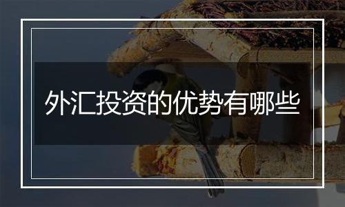 外汇投资的优势有哪些