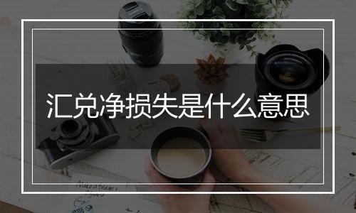 汇兑净损失是什么意思