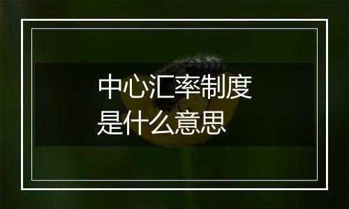 中心汇率制度是什么意思