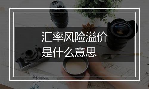 汇率风险溢价是什么意思