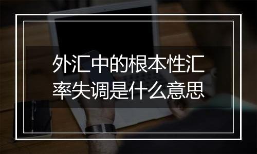 外汇中的根本性汇率失调是什么意思