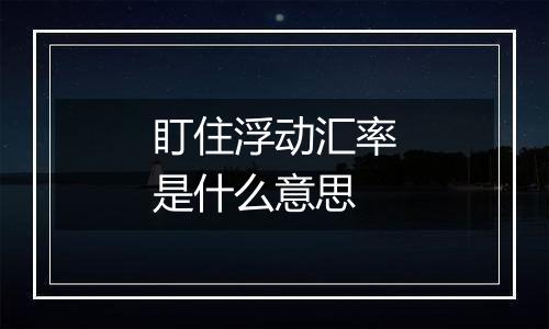 盯住浮动汇率是什么意思