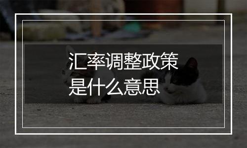 汇率调整政策是什么意思