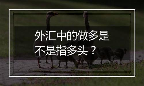 外汇中的做多是不是指多头？