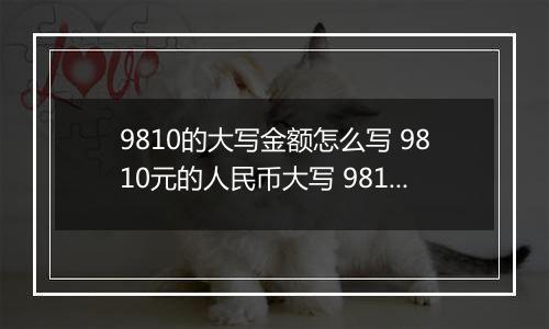 9810的大写金额怎么写 9810元的人民币大写 9810元的数字大写