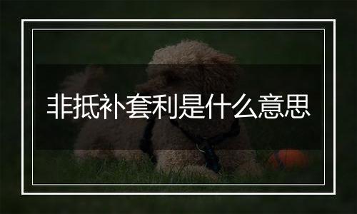 非抵补套利是什么意思