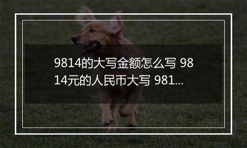 9814的大写金额怎么写 9814元的人民币大写 9814元的数字大写