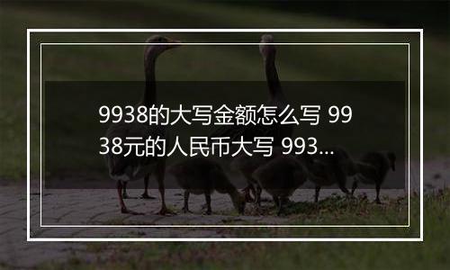 9938的大写金额怎么写 9938元的人民币大写 9938元的数字大写