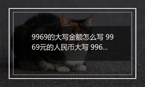 9969的大写金额怎么写 9969元的人民币大写 9969元的数字大写