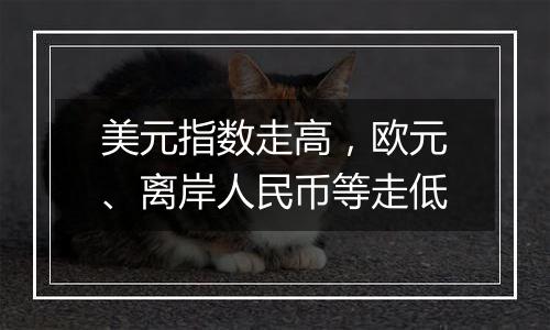 美元指数走高，欧元、离岸人民币等走低