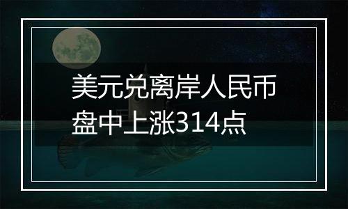 美元兑离岸人民币盘中上涨314点