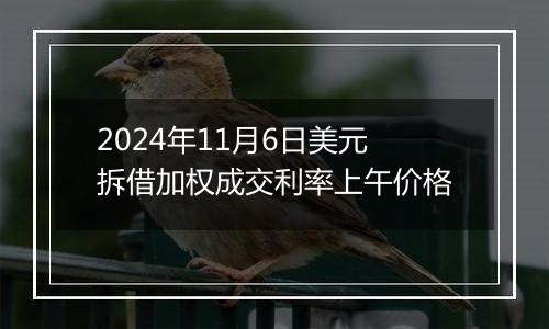 2024年11月6日美元拆借加权成交利率上午价格