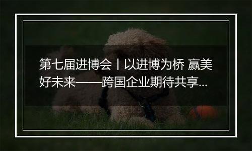 第七届进博会丨以进博为桥 赢美好未来——跨国企业期待共享进博会“中国机遇”