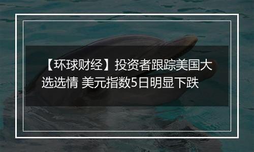 【环球财经】投资者跟踪美国大选选情 美元指数5日明显下跌