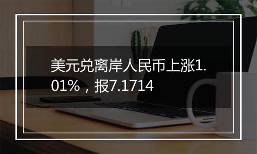 美元兑离岸人民币上涨1.01%，报7.1714