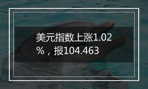 美元指数上涨1.02%，报104.463