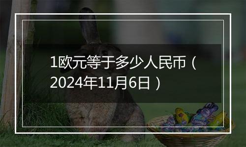 1欧元等于多少人民币（2024年11月6日）