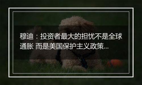 穆迪：投资者最大的担忧不是全球通胀 而是美国保护主义政策的潜在影响