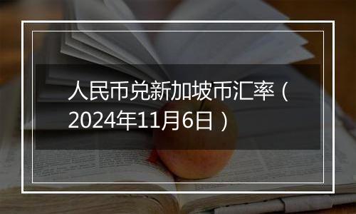 人民币兑新加坡币汇率（2024年11月6日）