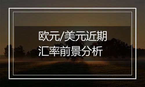 欧元/美元近期汇率前景分析