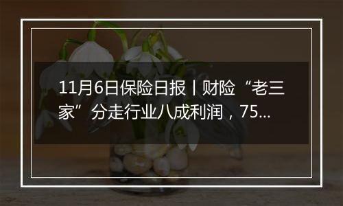 11月6日保险日报丨财险“老三家”分走行业八成利润，75家人身险公司前三季度净赚超2800亿