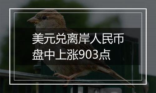 美元兑离岸人民币盘中上涨903点