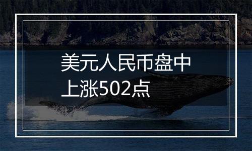 美元人民币盘中上涨502点