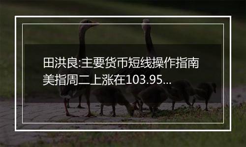 田洪良:主要货币短线操作指南 美指周二上涨在103.95之下遇阻