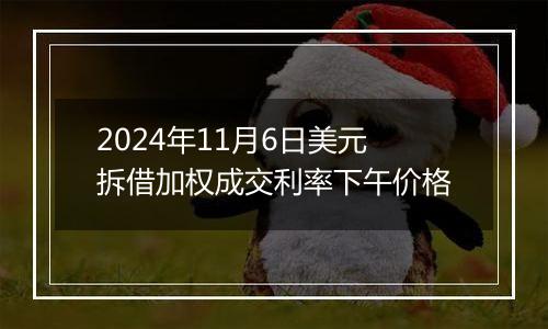 2024年11月6日美元拆借加权成交利率下午价格