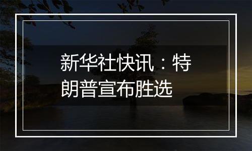 新华社快讯：特朗普宣布胜选