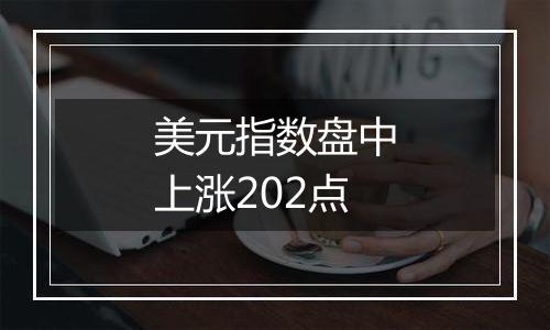 美元指数盘中上涨202点