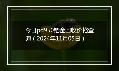 今日pd950钯金回收价格查询（2024年11月05日）