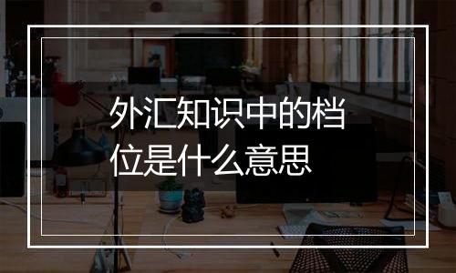 外汇知识中的档位是什么意思