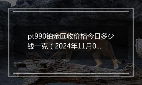 pt990铂金回收价格今日多少钱一克（2024年11月01日）